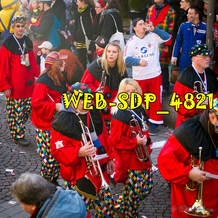 WEB SDP 4821