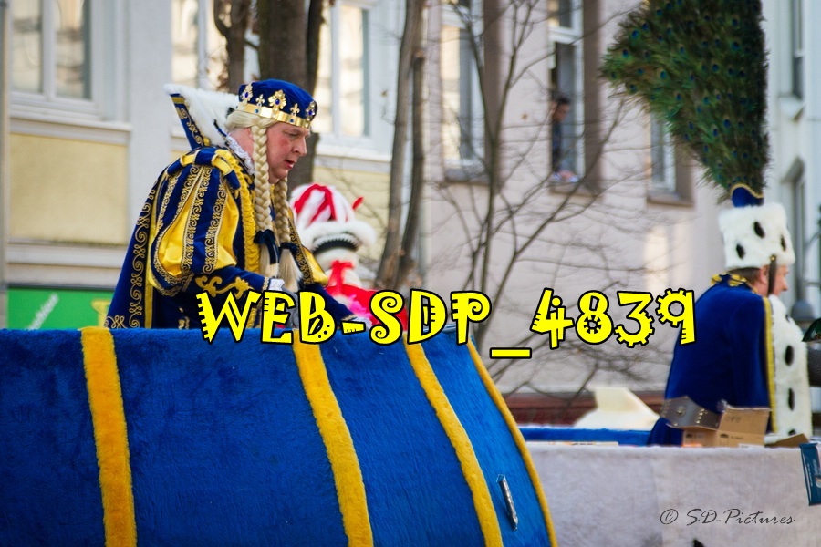 WEB SDP 4839