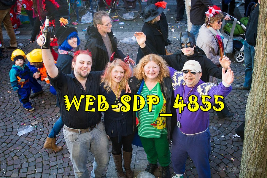 WEB SDP 4855